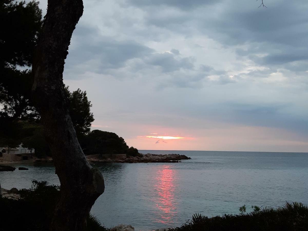 Caragol Appartamento Cala Ratjada (Mallorca)